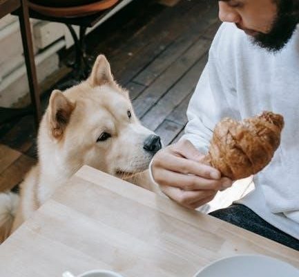 royal canin feeding guide calculator