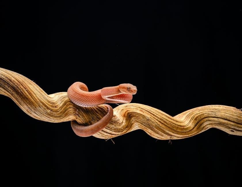 viper 5305v installation manual