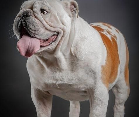 english bulldog puppy feeding guide