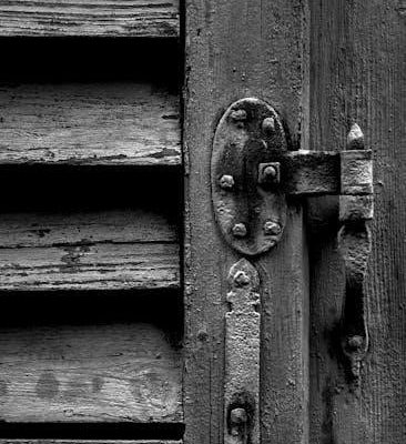 lippert friction hinge adjustment pdf